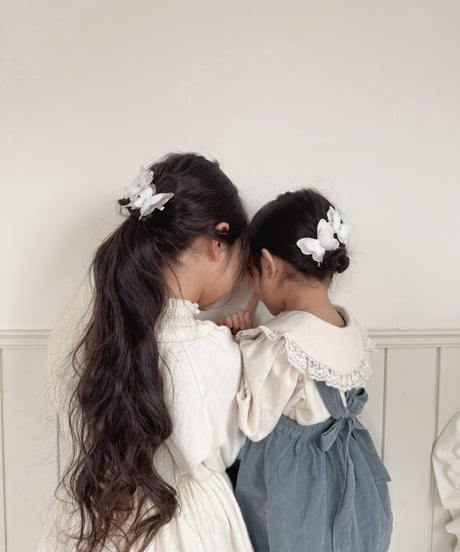 butterfly hair clip