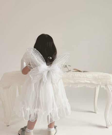 fairy wing - glitter -