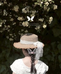 butterfly hair clip