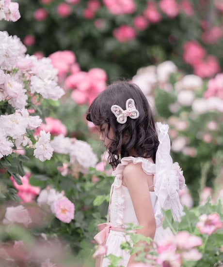 fairy wing - fluffy -