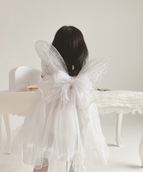 fairy wing - glitter -