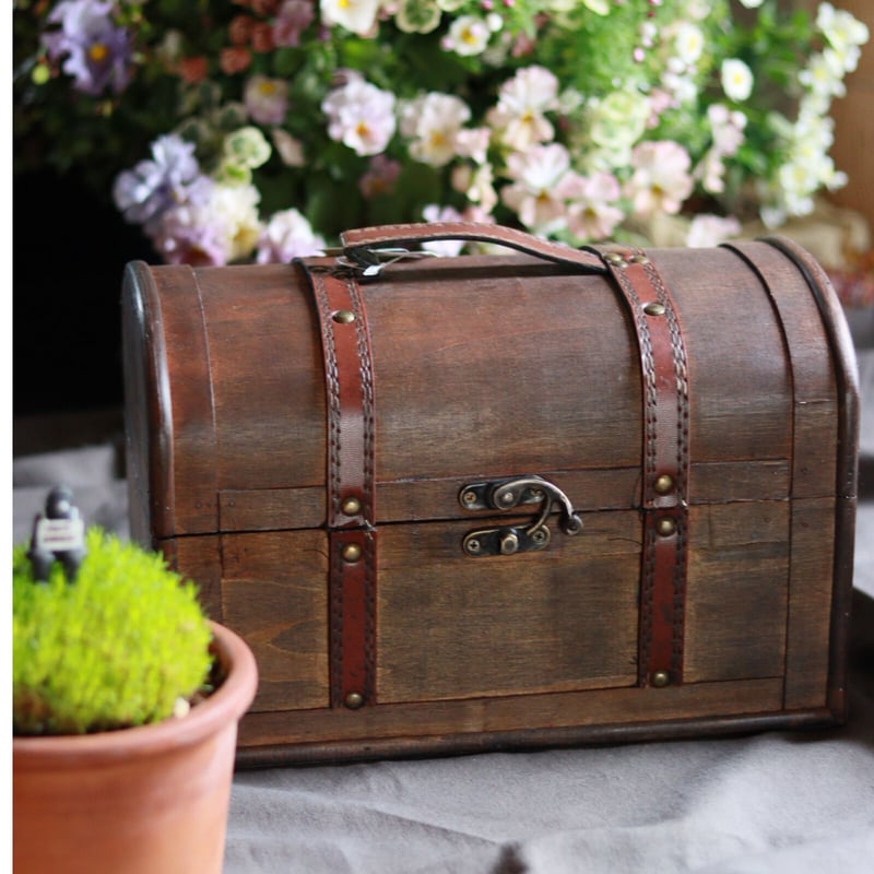 トレジャーボックスポット LL ブラウン | Naratan-no-omise