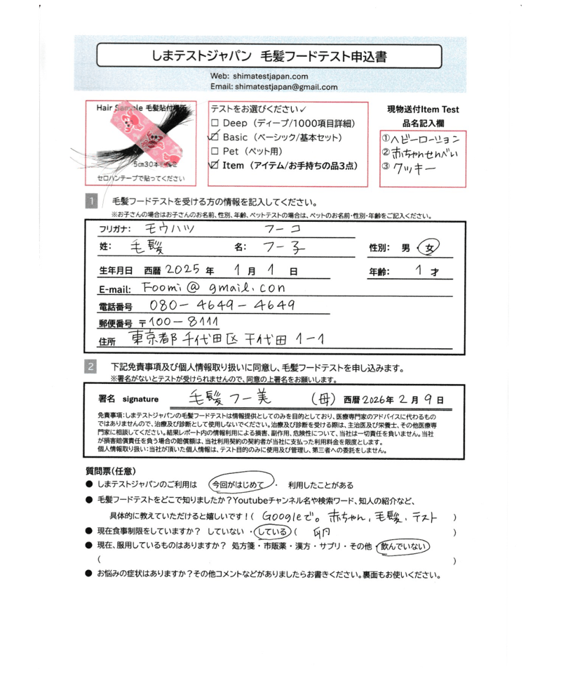 2026年4月リニューアル！】Basic Test（約1000項目・カテゴリー判定