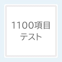 1100項目テスト
