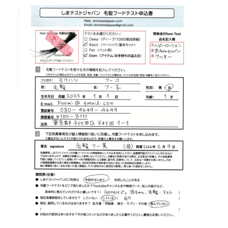 1100項目テスト