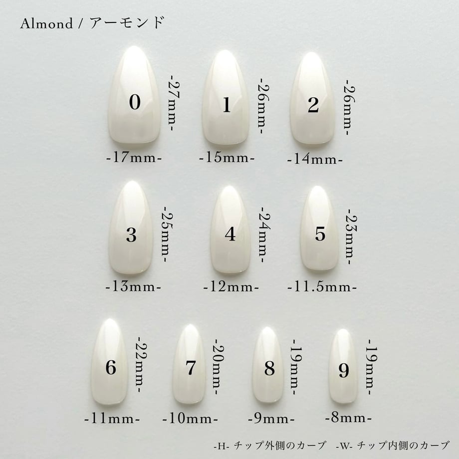 6651db8bf09fa0707b972a58