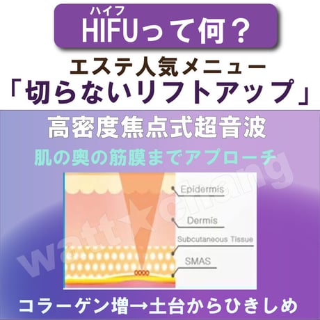 新 HIFU ハイフ ウルセラ RF ラジオ波 LEDフォト EMS 光照射 家庭用 美顔器 サーマクール 若返り 整形 美顔機  皮膚 ウルトラリフト ギフト 人気 改善 加齢 対策