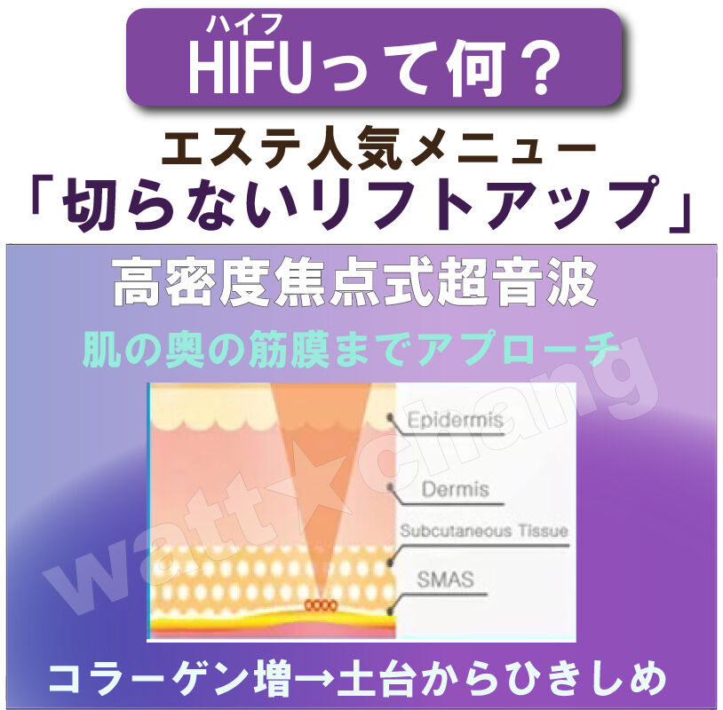 超音波美顔器 家庭用　HIFU - ULTRASOUND ウルセラ　ハイフ 楽天市場】ミニ hifu ウルセラの通販