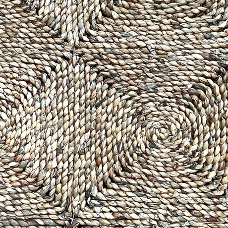 ウォーターヒヤシンス　玄関マット　ラグ　60×90(cm)