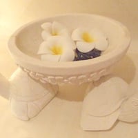 フランジパニBOWL&カメさんのセット