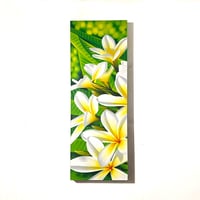 フランジパニ　50×150(cm)