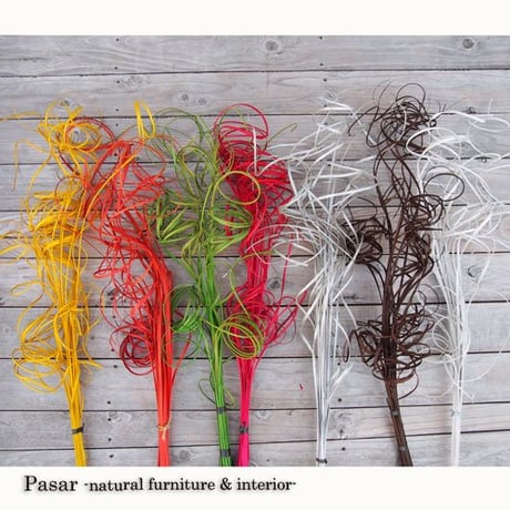 CATEGORY 枝オブジェ・アートプランツ | インテリアショップPasar