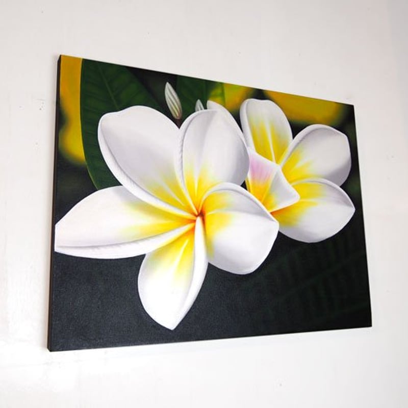 プルメリア（フランジパニ） WHITE 60×80(cm) | インテリアショップPasar