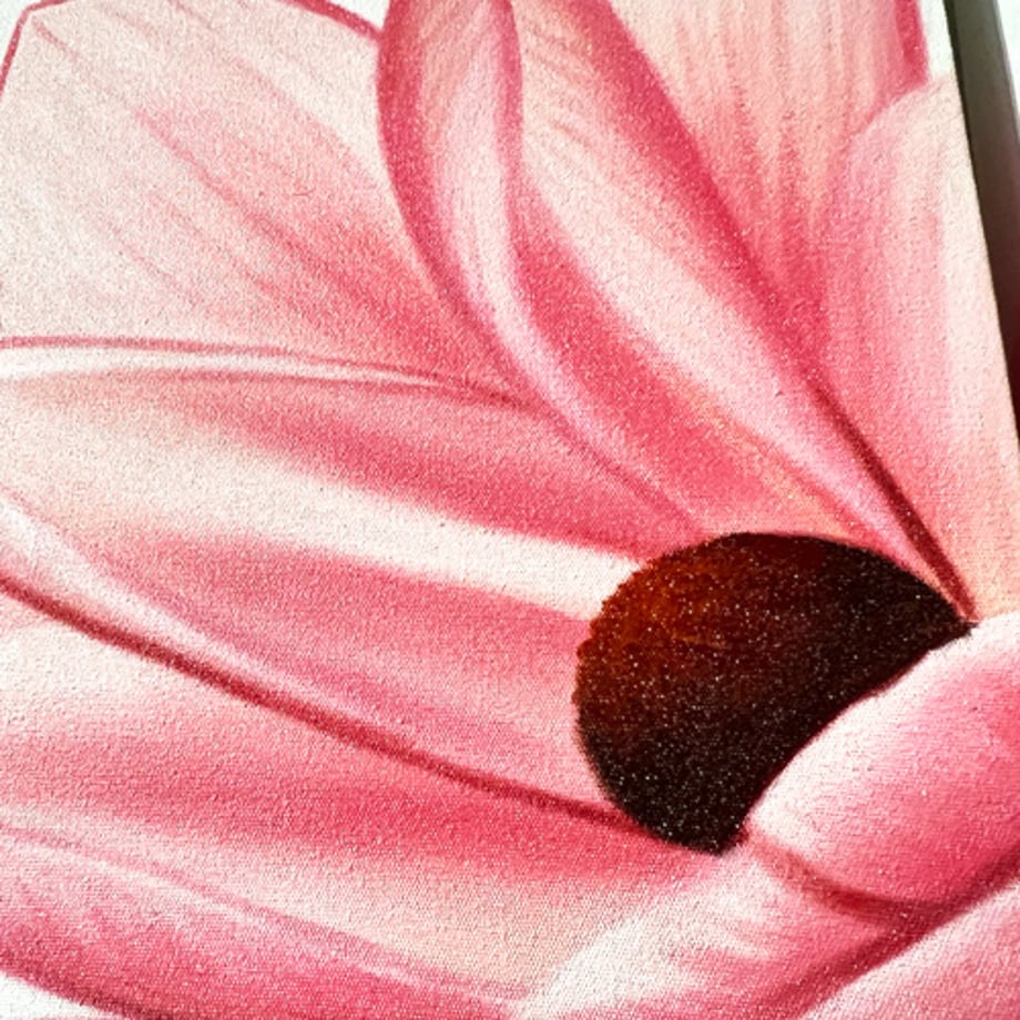 66c07086bd758c017f5983a7