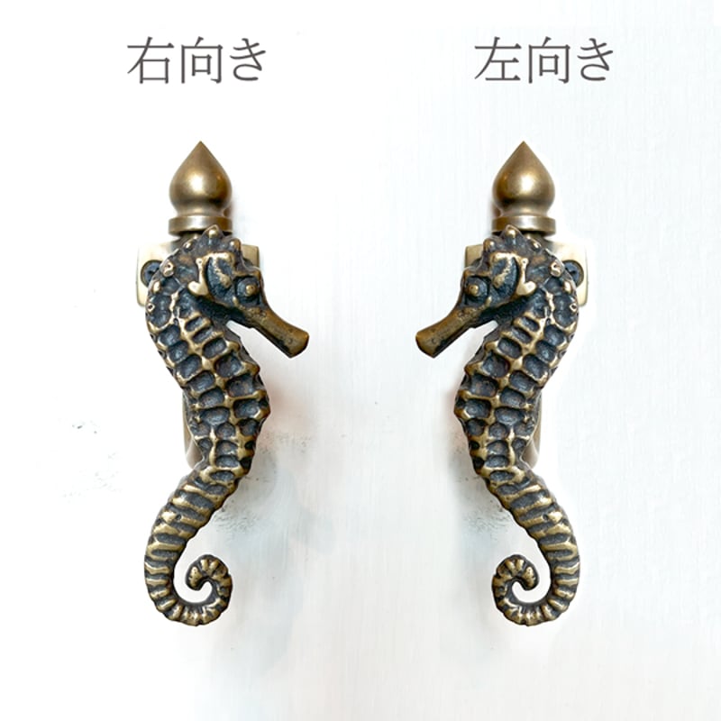 タツノオトシゴフック | インテリアショップPasar