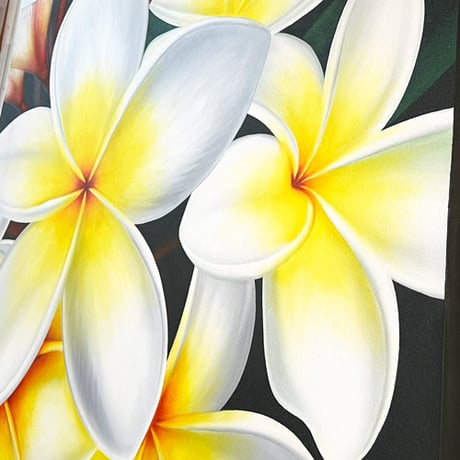 フランジパニ　WHITE　120×100(cm)