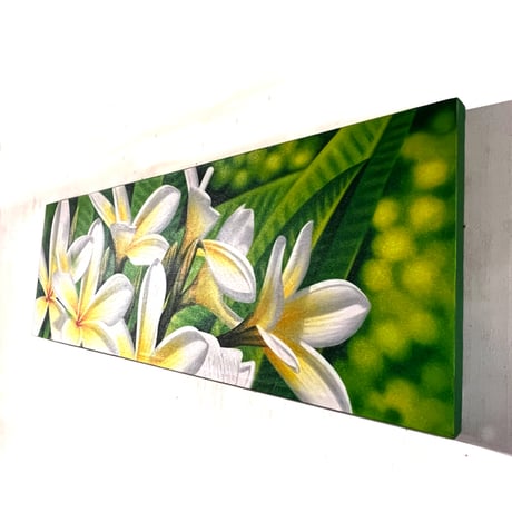 フランジパニ　50×150(cm)