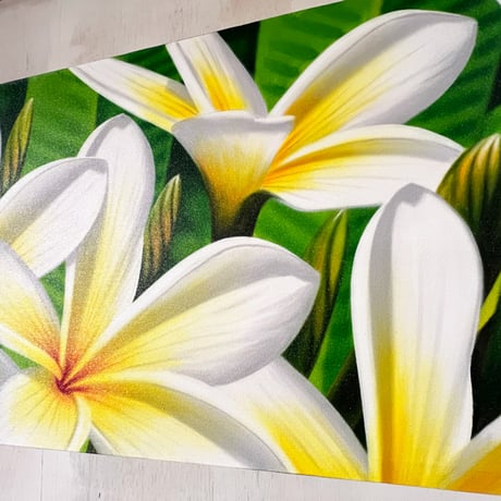 フランジパニ　50×150(cm)