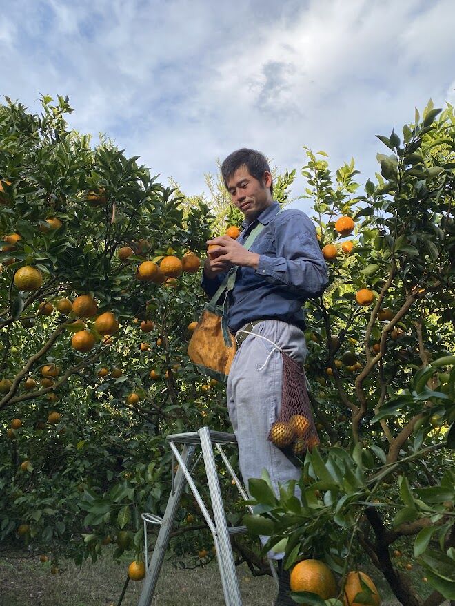 ★ Ponchan様★たんかん5キロ✖️２つ 贈答用】屋久島産ぽんかん 5kg | おのぼり農園