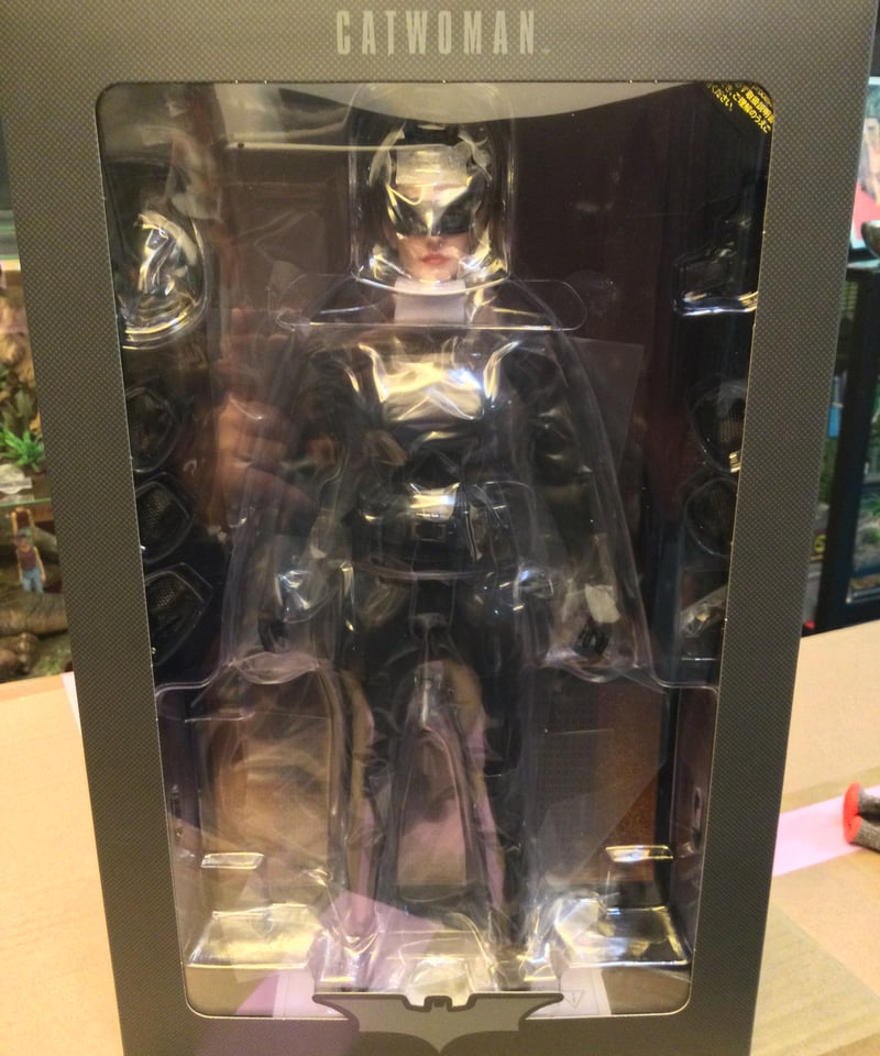 ダークナイト・トリロジー』キャットウーマン1/6スケール可動 ダークナイト・トリロジー』キャットウーマン1/6スケール可動