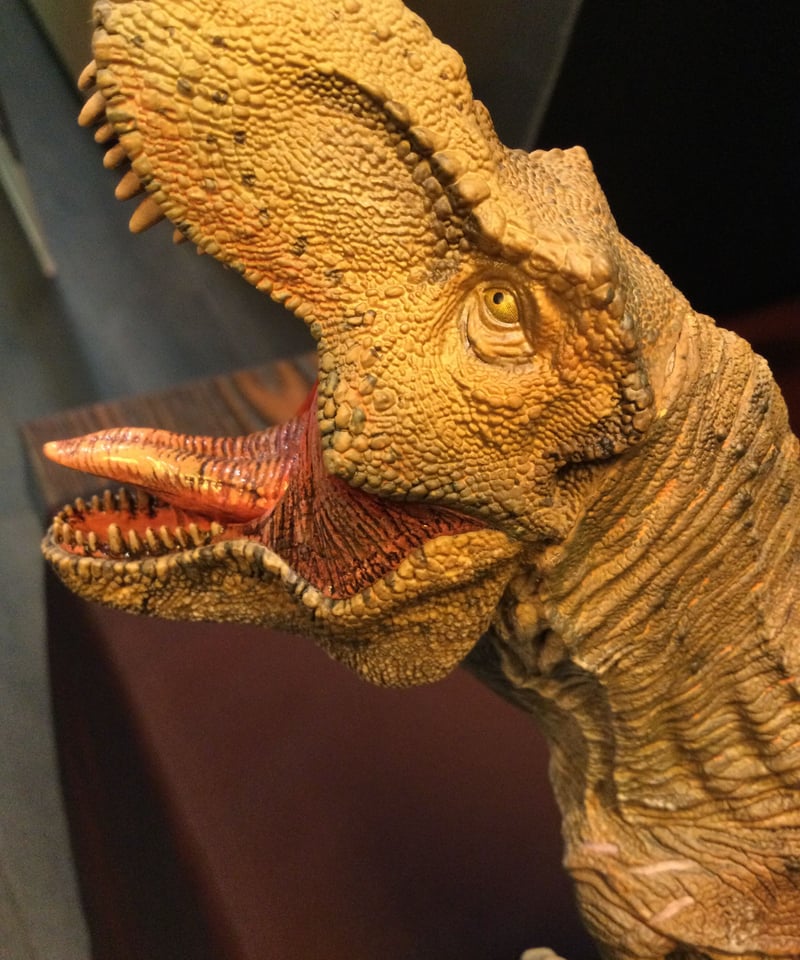 ジュラシック・パーク/T-REX&ブラキオサウルスset(プライム ジュラシック・パーク/T-REX&ブラキオサウルスset(プライム