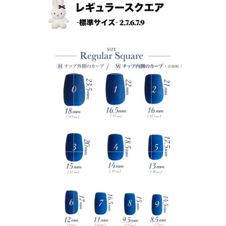 計測用チップ