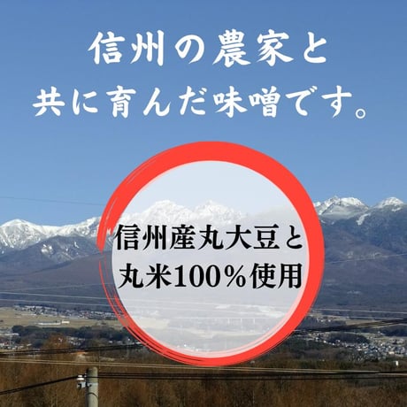 【丸正醸造　正規取扱店】契約栽培大豆米みそ　500ｇ 【信州産の丸大豆と丸米100％使用】 【中甘口/米みそ/限定樽生一本詰め】 お味噌汁/てっか/炒め物 　[食品][7833-1]