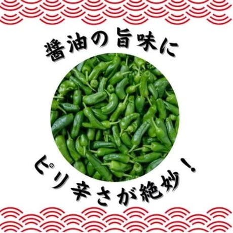 【丸正醸造】青こしょう醤油　9本セット　　200ml×9 ～信州安曇野産　青胡椒使用～