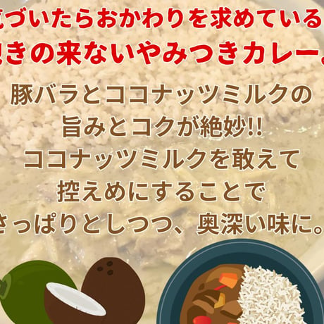 【松本メーヤウ】タイ風グリーンカリー[信州松本カリー名店シリーズ] メーヤウ/ココナッツミルク/グリーンカレー/豚肉/さっぱりな味わい/マイルド 【長野県松本市】 [食品][7833-1]