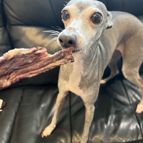 鹿肉ステーキジャーキー｜ペット用