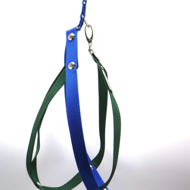 世界で5個』FGB JAPAN BALL HOLDER 2025【Blue× Green】