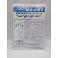 職務経歴書