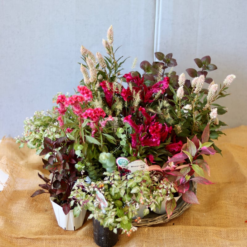 沢山のお花が描かれピンクと茶色のコントラスト素敵なカイセリオールドキリム 沢山のお花が描かれピンクと茶色のコントラスト素敵なカイセリ