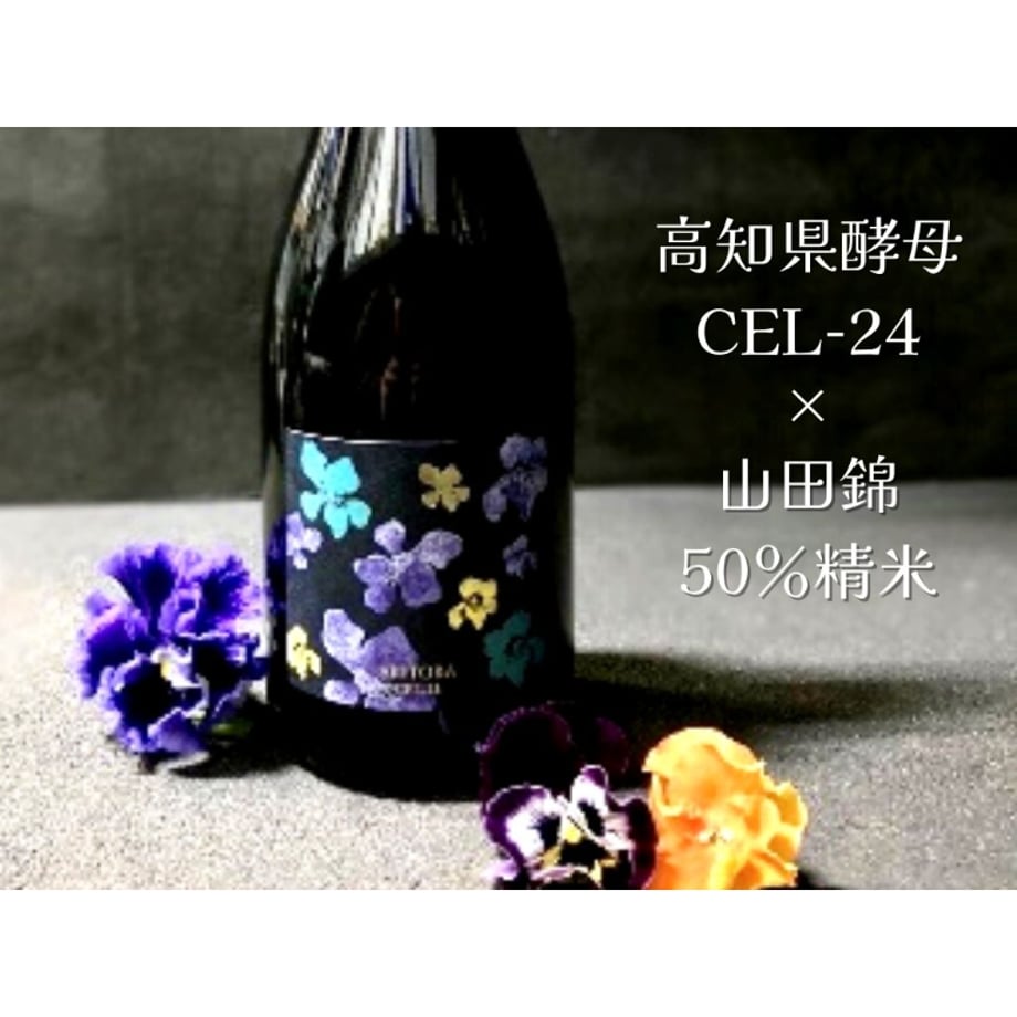 67124b133cc7cf03cb729566