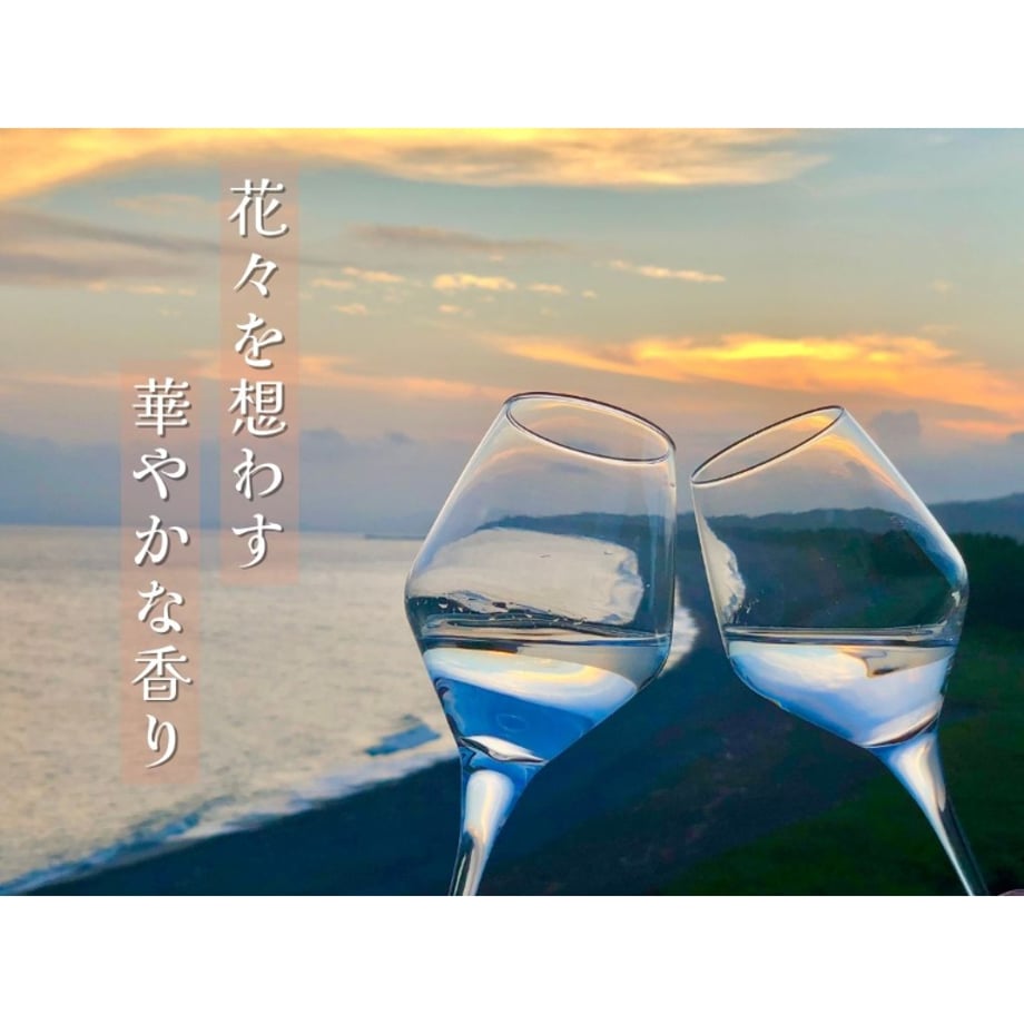67124b133cc7cf03cb729566