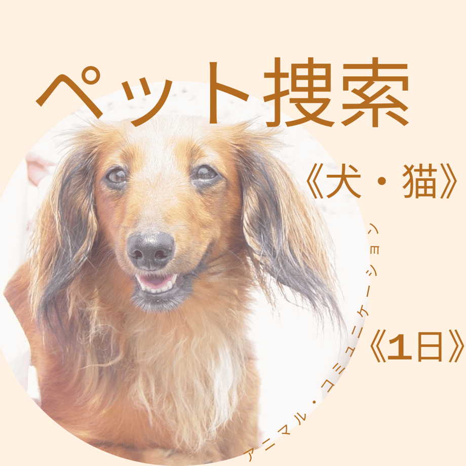 6376f06ec808a4797b5a926a