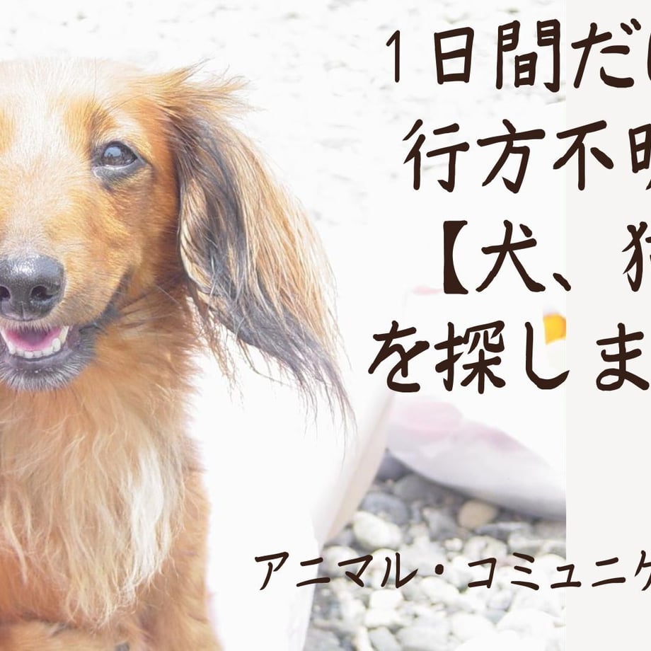 6376f06ec808a4797b5a926a