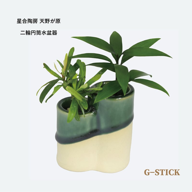梛(ナギ)の木」と「二輪円筒水盆器 竹」 | G−STICK