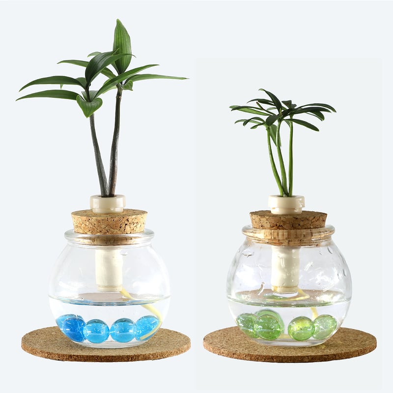 梛(ナギ)の木」「槇(マキ)の木」と『タマビン』 2個 | G−STICK