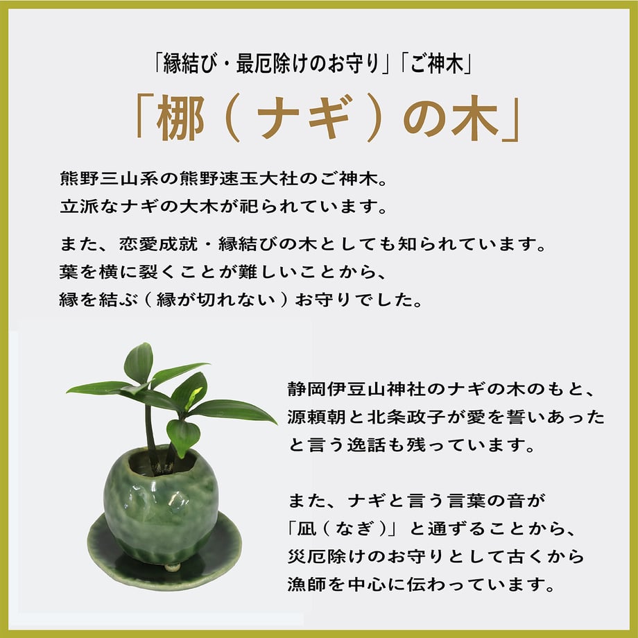 65bdbaf06b592913139f71cc