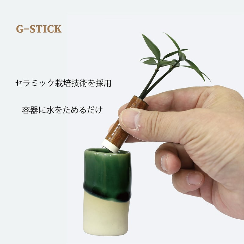 槇(まき)の木」と「円筒水盆器 竹」 | G−STICK
