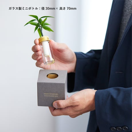 VERT ÉTERNEL 【Ash Box】Nanten -南天-