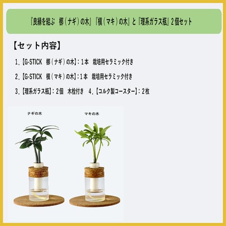 「梛(ナギ)の木」「槇(マキ)の木」と『理系ガラス瓶』2個