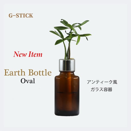 【G-STICK】 観葉植物 マキの木（槇 慈愛/色褪せぬ恋） Earth Bottle - Oval｜セラミック栽培（土なし・自動給水）｜水やり簡単 インテリアグリーン