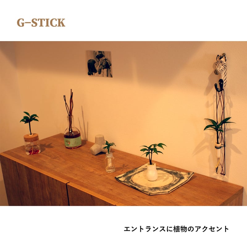槇(まき)の木」と「円筒水盆器 竹」 | G−STICK