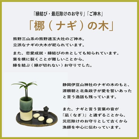 「梛(ナギ)の木」と「狭庭(さにわ)」