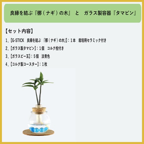 「梛(ナギ)の木」と『タマビン』1個