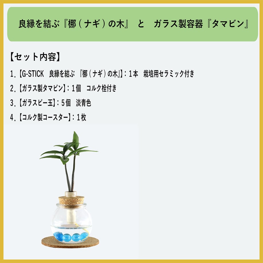 6854cd54467cc735e5ab8a0d