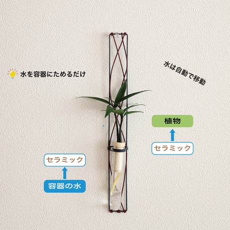 「梛 (なぎ) の木」と『ブラックフレーム』