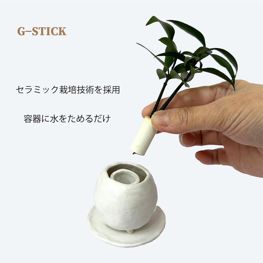 65bdbaf06b592913139f71cc